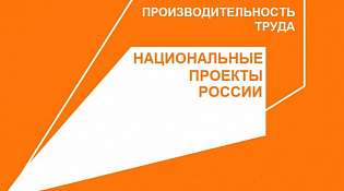 Федеральный проект «Производительность труда»